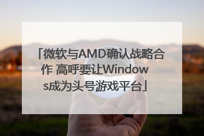 微软与AMD确认战略合作 高呼要让Windows成为头号游戏平台