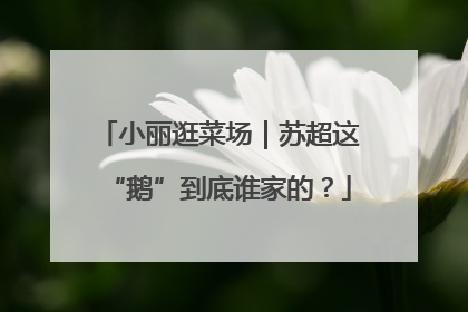 小丽逛菜场｜苏超这“鹅”到底谁家的？
