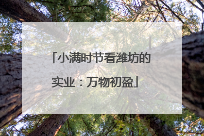 小满时节看潍坊的实业：万物初盈