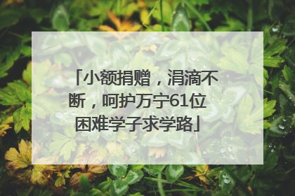 小额捐赠，涓滴不断，呵护万宁61位困难学子求学路