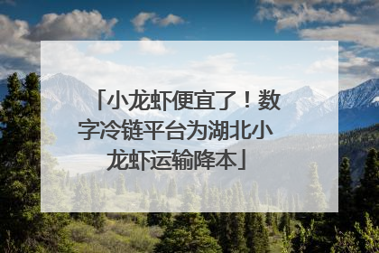 小龙虾便宜了！数字冷链平台为湖北小龙虾运输降本