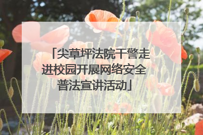 尖草坪法院干警走进校园开展网络安全普法宣讲活动