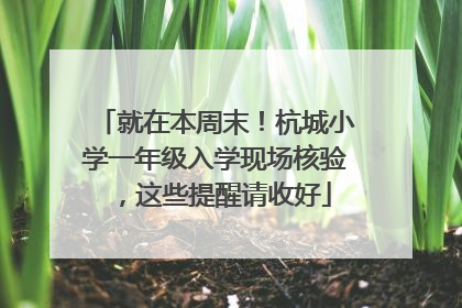就在本周末！杭城小学一年级入学现场核验，这些提醒请收好