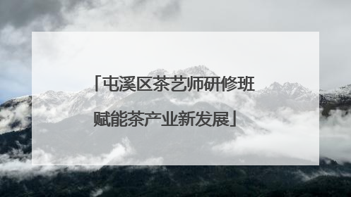 屯溪区茶艺师研修班赋能茶产业新发展