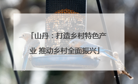 山丹：打造乡村特色产业 推动乡村全面振兴