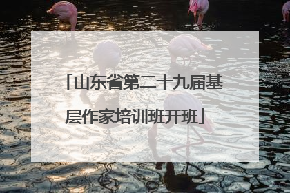山东省第二十九届基层作家培训班开班