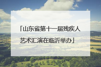 山东省第十一届残疾人艺术汇演在临沂举办