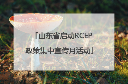 山东省启动RCEP政策集中宣传月活动