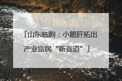 山东临朐：小鹅肝拓出产业富民“新赛道”