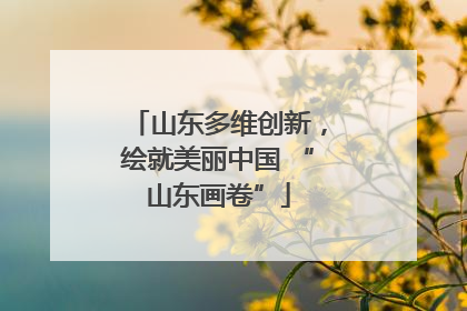 山东多维创新，绘就美丽中国 “山东画卷”