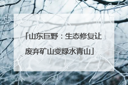 山东巨野：生态修复让废弃矿山变绿水青山