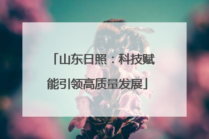 山东日照：科技赋能引领高质量发展