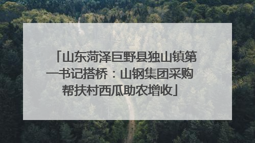 山东菏泽巨野县独山镇第一书记搭桥：山钢集团采购帮扶村西瓜助农增收