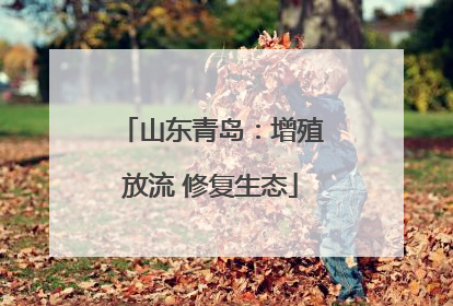山东青岛：增殖放流 修复生态