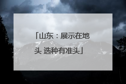 山东：展示在地头 选种有准头