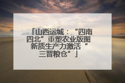 山西运城：“四南四北”重塑农业版图 新质生产力激活“三晋粮仓”