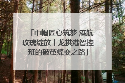 巾帼匠心筑梦 港航玫瑰绽放丨龙拱港智控班的破茧蝶变之路