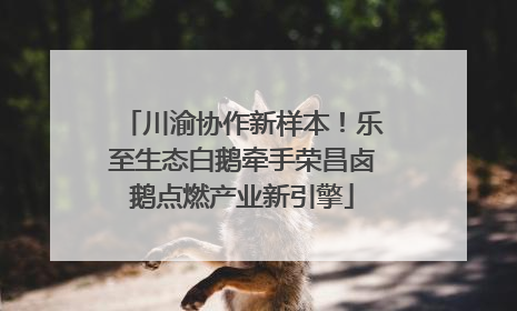 川渝协作新样本！乐至生态白鹅牵手荣昌卤鹅点燃产业新引擎