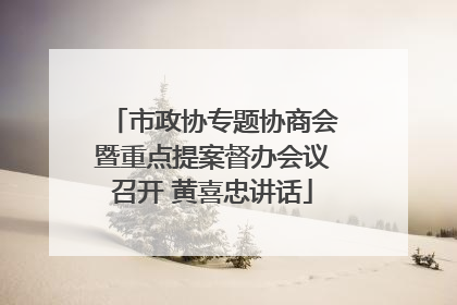 市政协专题协商会暨重点提案督办会议召开 黄喜忠讲话