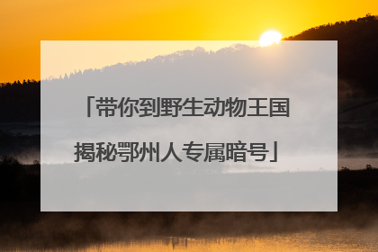 带你到野生动物王国揭秘鄂州人专属暗号