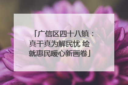 广信区四十八镇：真干真为解民忧 绘就惠民暖心新画卷