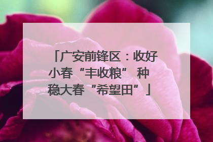 广安前锋区：收好小春“丰收粮” 种稳大春“希望田”