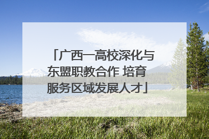 广西一高校深化与东盟职教合作 培育服务区域发展人才