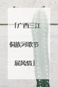 广西三江侗族河歌节展风情