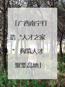 广西南宁打造“人才之家” 构筑人才聚集高地