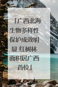 广西北海生物多样性保护成效明显 红树林面积居广西首位