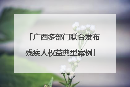 广西多部门联合发布残疾人权益典型案例