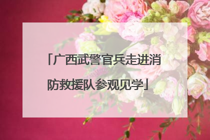 广西武警官兵走进消防救援队参观见学