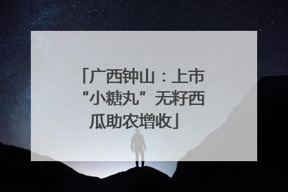 广西钟山：上市“小糖丸”无籽西瓜助农增收
