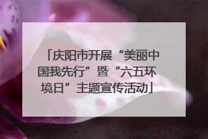 庆阳市开展“美丽中国我先行”暨“六五环境日”主题宣传活动