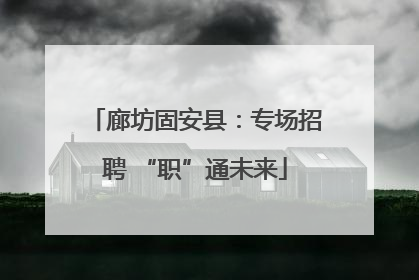 廊坊固安县：专场招聘 “职”通未来