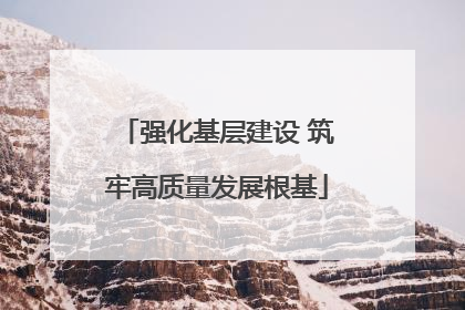 强化基层建设 筑牢高质量发展根基