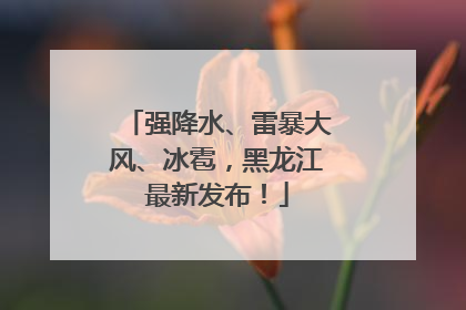 强降水、雷暴大风、冰雹，黑龙江最新发布！