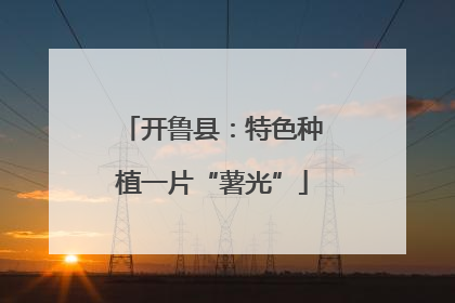 开鲁县：特色种植一片“薯光”