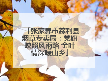 张家界市慈利县烟草专卖局：党旗映照风雨路 金叶情深暖山乡