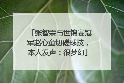 张智霖与世锦赛冠军赵心童切磋球技，本人发声：很梦幻