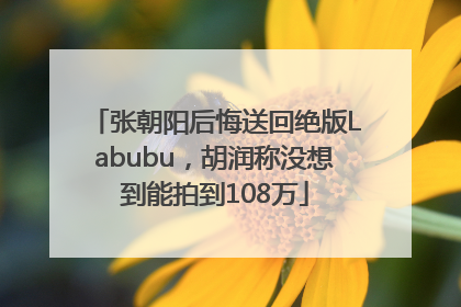 张朝阳后悔送回绝版Labubu，胡润称没想到能拍到108万