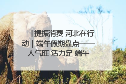 提振消费 河北在行动｜端午假期盘点——人气旺 活力足 端午经济“热浪”迭起