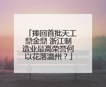捧回首批天工鼎金鼎 浙江制造业最高荣誉何以花落温州？