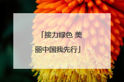 接力绿色 美丽中国我先行