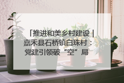 推进和美乡村建设｜嘉禾县石桥镇白珠村：党建引领破“空”局 乡贤聚力绘就新图景