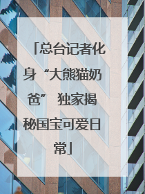 总台记者化身“大熊猫奶爸” 独家揭秘国宝可爱日常