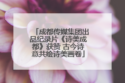成都传媒集团出品纪录片《诗美成都》获赞 古今诗意共绘诗美画卷