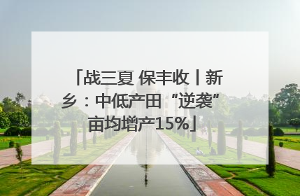 战三夏 保丰收丨新乡：中低产田“逆袭” 亩均增产15%