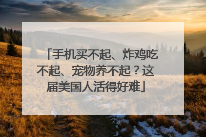 手机买不起、炸鸡吃不起、宠物养不起？这届美国人活得好难