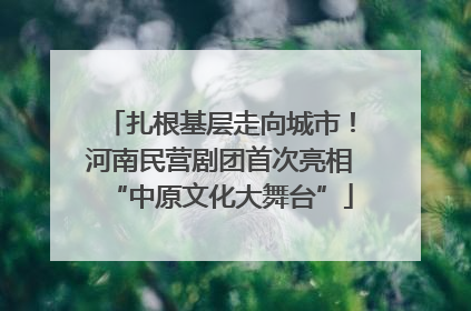 扎根基层走向城市！河南民营剧团首次亮相“中原文化大舞台”